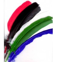 PEN QUILL SET 12 ASSORTED COLORS 11'' LONG 2000 PER FEATHER